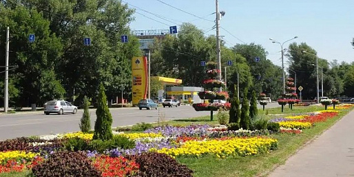 В Ростове нашли виноватого в проблемах озеленения города