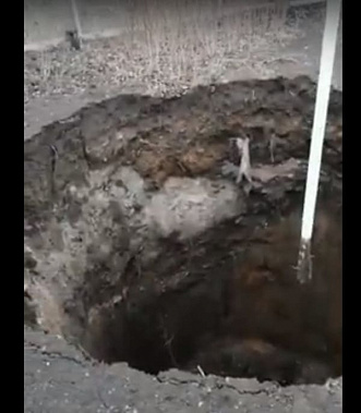 Фото: скрин видеозаписи хозяйки земельного участка в поселке Фрунзе города Шахты
