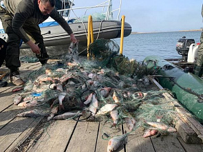 В Сальске задержали браконьеров со 100 килограммами раков