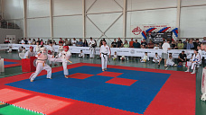 В Ростове прошел благотворительный турнир по спортивной дисциплине косики карате-до
