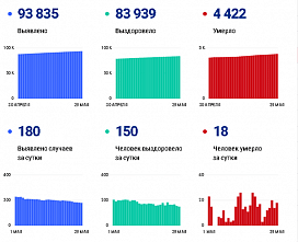 Коронавирус в Ростовской области: статистика на 29 мая