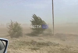На Дону ждут пыльную бурю