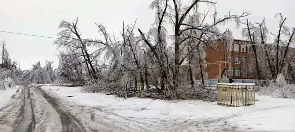 В ряде донских районов школьники остаются на дистанционном обучении