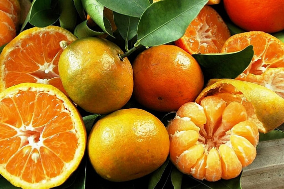 Как выбрать апельсины и мандарины