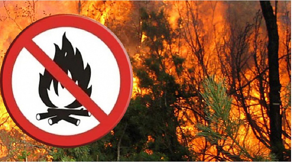 Источник фото: sosnovskoe.info.