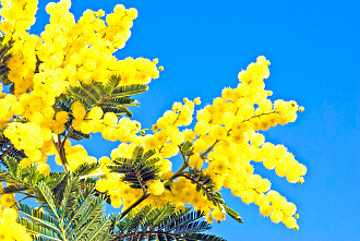 Что можно отметить в этот день