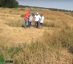 Апелляционный суд подтвердил: участок под Кировской выделили под полигон незаконно