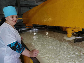 За полгода АПК Дона увеличил производство продукции на 13,8 %