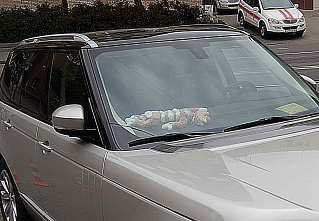 Эти автомобили…