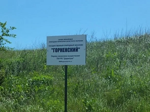 В заказнике «Горненский» на экомаршруте появилась новая стоянка