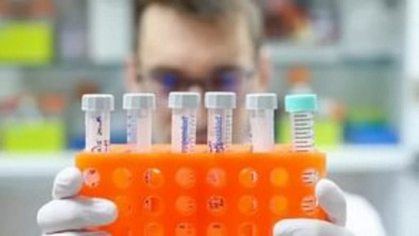 В Ростовской области за день выявили COVID-19 у 242 жителей