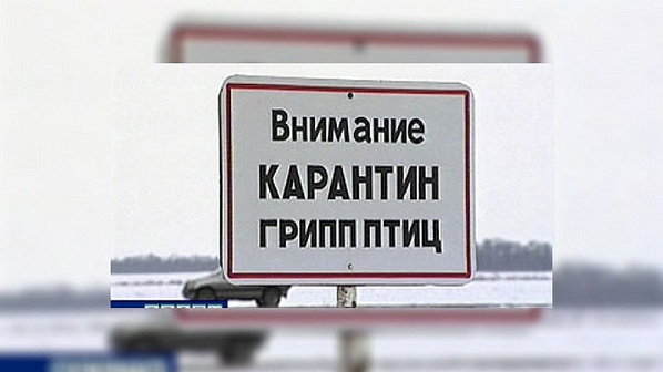 Источник фото: vet.kostroma.gov.ru