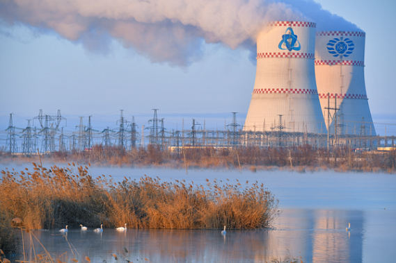 Экологические исследования ученых ЮФУ подтвердили безопасность работы Ростовской атомной электростанции