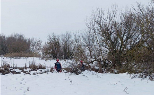 В ЛНР на помощь местным энергетикам  в ликвидации последствий стихии пришли коллеги из ПАО "Россети", регионов-шефов и ДНР