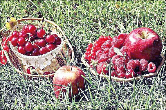 Что нельзя есть при аллергии на пыльцу