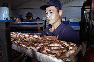 Не собираемся останавливаться_16707