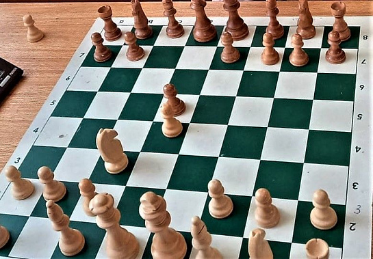 Юный рапидист Кирилл Ястребов выиграл турнир, посвященный Дню Конституции