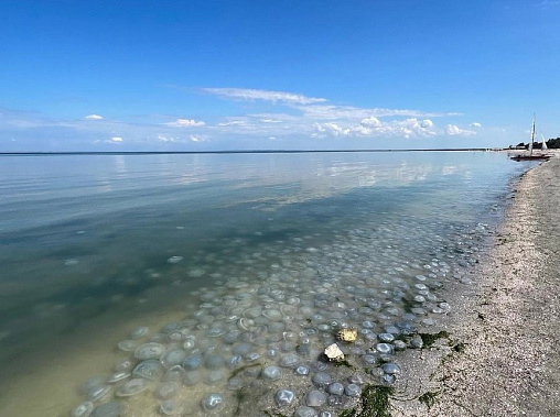 Фото: vk.com/etorostovnadonu