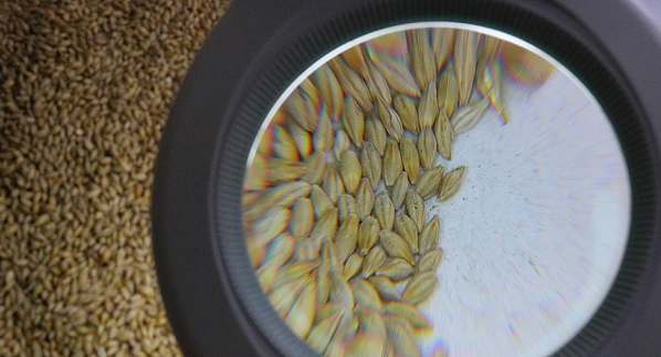 Подтверждены компетентность специалистов и достоверность применяемых аналитических методов