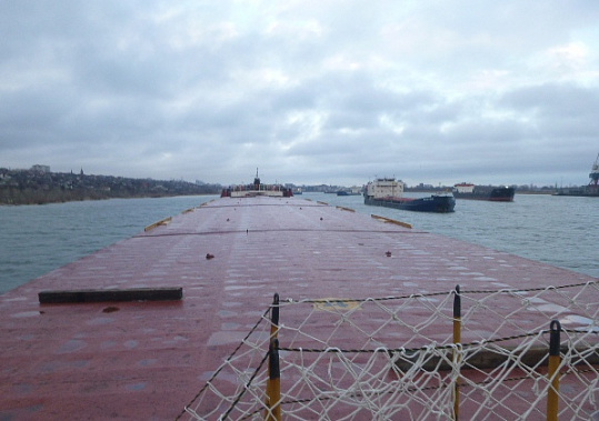 На теплоходе, прибывшем в Ростов-на-Дону из Турции, нашли экстремистскую литературу