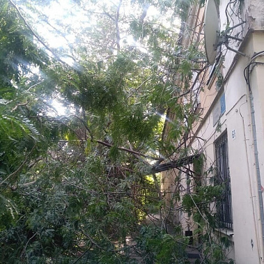 Фото пресс-службы управления ГО и ЧС Ростова-на-Дону