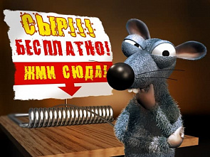 Донских жителей предупреждают о новом мошенничестве с «бесплатной пиццей»