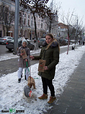 Выгул без последствий