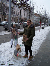 Выгул без последствий