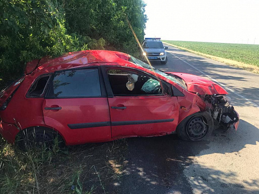В Ростовской области в перевернувшейся машине пострадали брат с сестрой и двухлетняя дочь