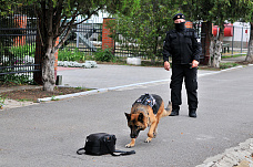 21 06 2025 Определились лучшие кинологи Росгвардии юга России