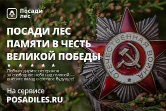 Посади «Лес памяти», не выходя из дома