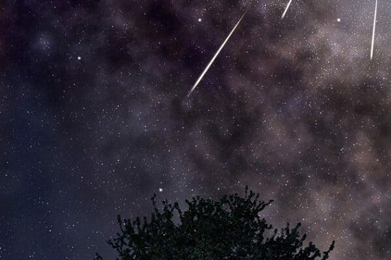 Фото сайта asteropa.ru