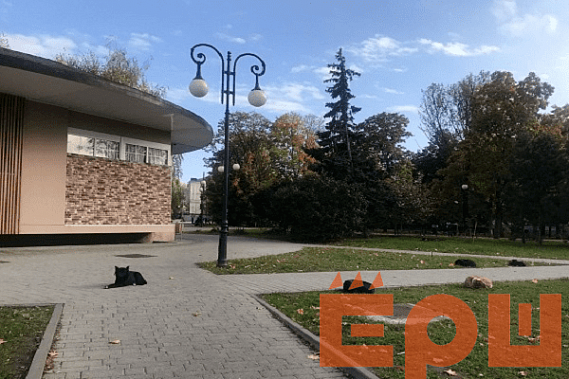В Таганроге выбрали участок для собачьего приюта, но строить не стали