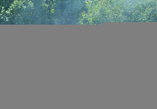 Полицейских прибыло