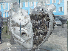 Погуляем, поснимаем – 11