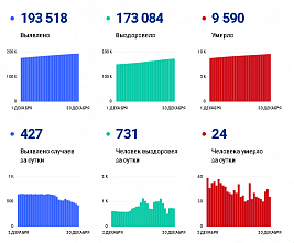 Коронавирус в Ростовской области: статистика на 30 декабря