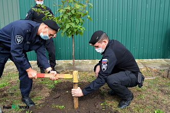  Ростовские ОМОНовцы высадили деревья