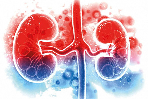 Последствием COVID-19 может стать почечная недостаточность