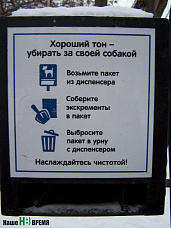 Выгул без последствий