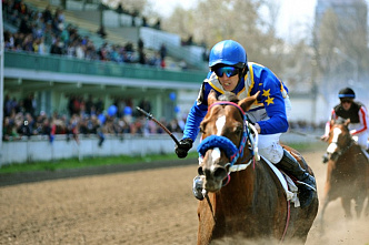 На ипподроме начали принимать ставки