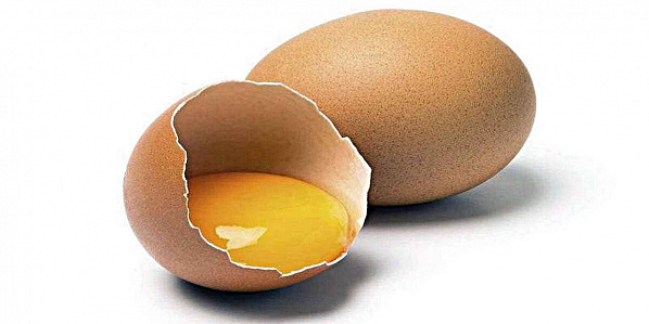 Безопасное число куриных яиц в нашем рационе