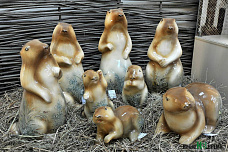 Обучающий фаянс