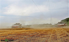 Не полагаясь на авось