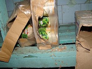 В тихой заводи