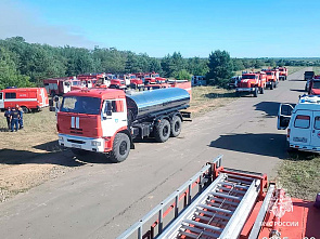 Пожар в Каменском районе Ростовской области уничтожил сотни гектаров леса