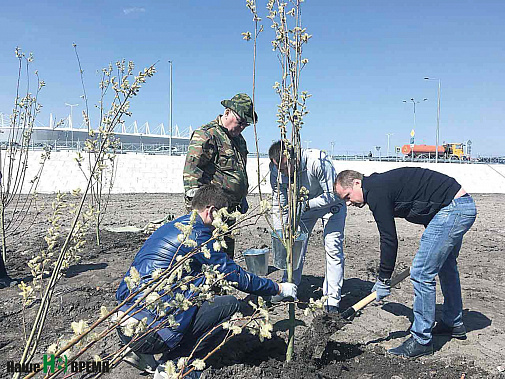 Министр ЖКХ РО Андрей Майер (справа) сажал деревья около стадиона «Ростов Арена».