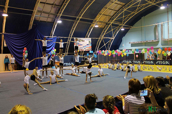 Спортивный телеграф