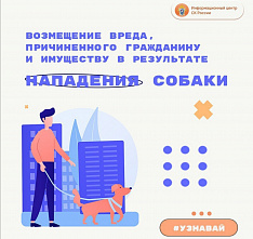 Как добиться возмещения вреда, причиненного гражданину и имуществу в результате нападения собаки