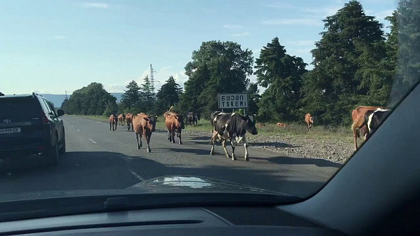 Источник фото: YouTube.com. 