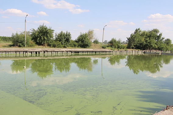 Водозабор во время цветения воды.